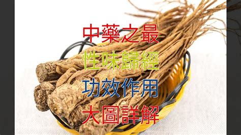 宜梧禁忌|宜梧:入藥部位,性味,歸經,功效,主治,相關配伍,用法用量,使用注意,。